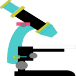 Microscope 03