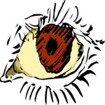 Eye 08