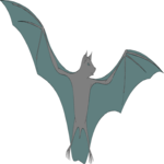 Bat 03