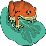 Frog 34