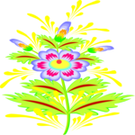 Camomile 6
