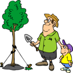 Tree - Planted