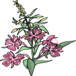 Flower 309