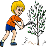 Boy Pruning Tree