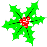 Holly 46