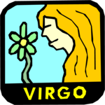 Virgo 14