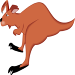 Kangaroo 17