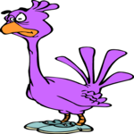 Bird - Confused