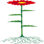 Flower 149