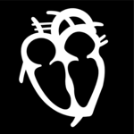 Cardiology 2