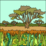 Trees in Field 1