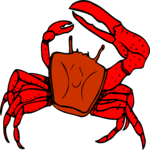 Crab 15