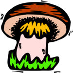 Mushroom 14