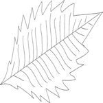 Leaf 061