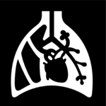 Pulmonary Physiology
