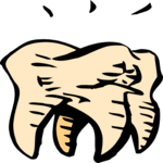 Tooth 1