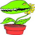 Plant - Man Eating