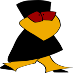 Crow Walking