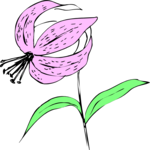 Flower 129