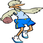 Basketball - Bird