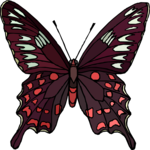 Butterfly 121