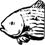 Fish 031