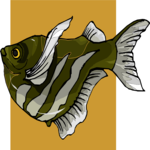 Hatchetfish 2