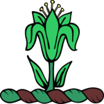 Flower (2)