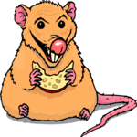 Rat Eating Cheese 2