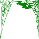 Spider Web Border