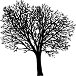 Tree 024