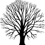 Tree 022