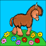 Horse - Baby
