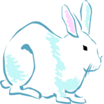 Rabbit 19