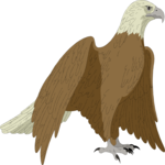 Eagle 46