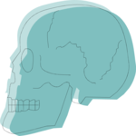 Skull 14