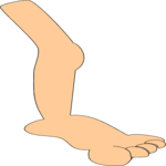 Leg 07