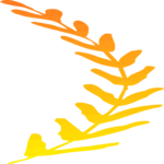 Wheat 5