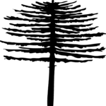 Tree 004