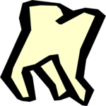 Tooth 18