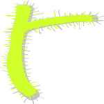 Prickley Extension