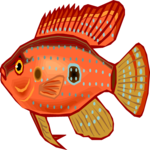 Cichlid - Jewel