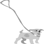 Dog on Leash