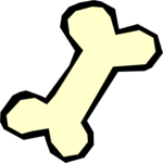 Bone