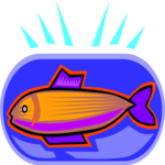 Fish 13