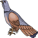 Bird 167