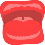 Mouth 3