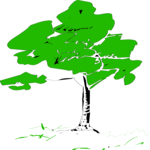 Tree 077