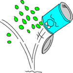 Peas - Canned