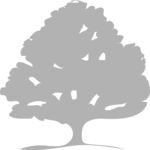 Tree 057